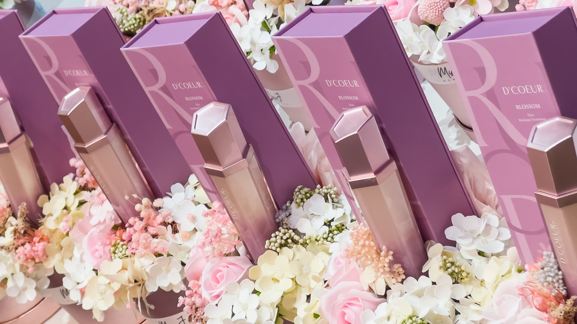 Untitled-1_0011_IMG_1516